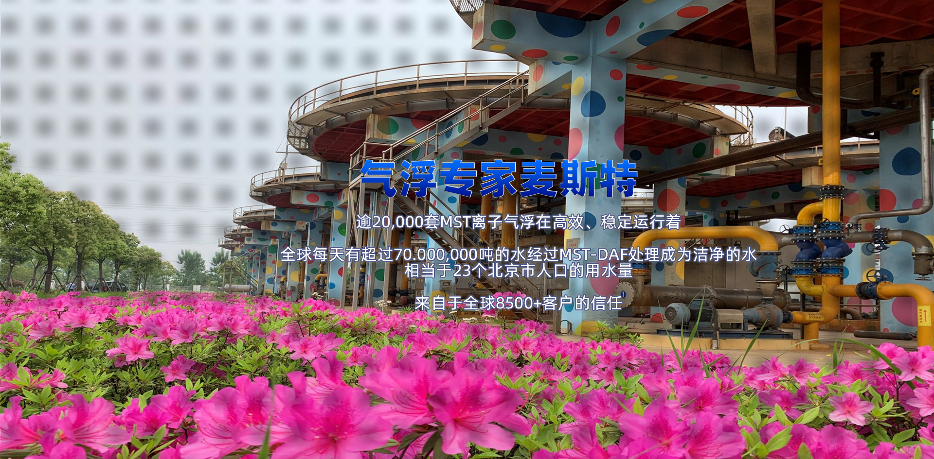 氣浮專家麥斯特